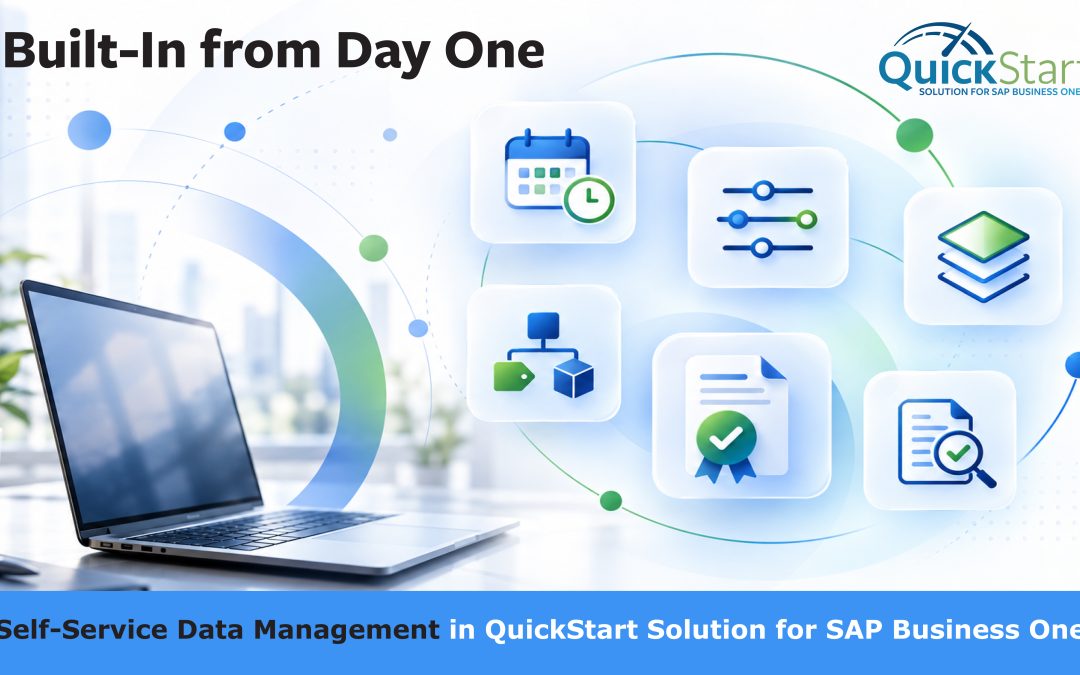 Self-Service Data Management in QuickStart Solution for SAP Business One